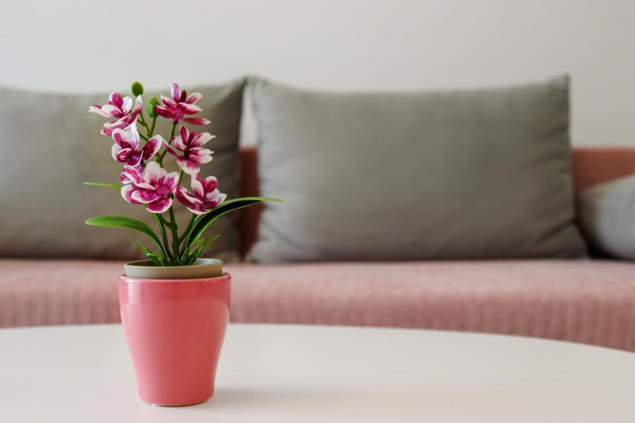 Astoria Rose Apartman Năvodari Kültér fotó
